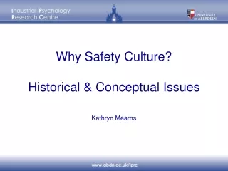 Why Safety Culture? Historical &amp; Conceptual Issues
