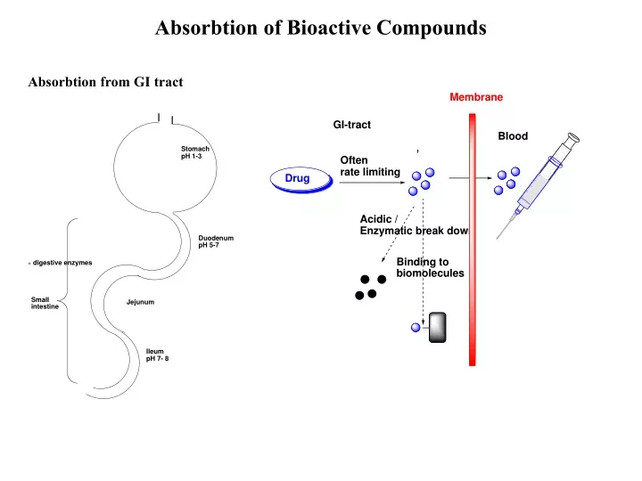 absorbtion of bioactive compounds