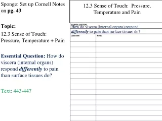 Sponge: Set up Cornell Notes on  pg. 43 Topic:  12.3 Sense of Touch:  Pressure, Temperature + Pain