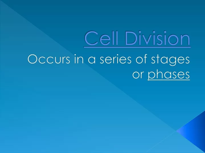 cell division