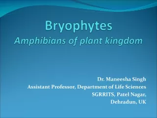 Bryophytes Amphibians of plant kingdom