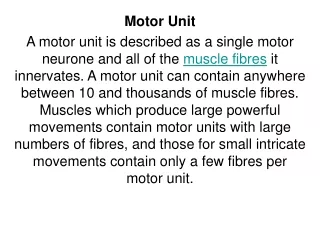 Motor Unit