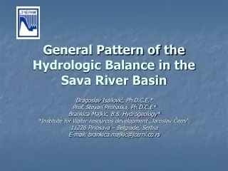 General Pattern of the Hydrologic Balance in the Sava River Basin