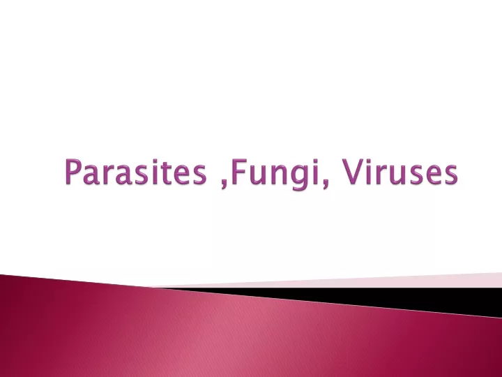 parasites fungi viruses