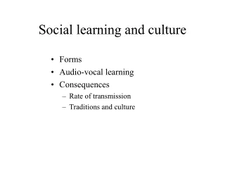 Social learning and culture
