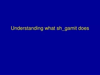 Understanding what sh_gamit does
