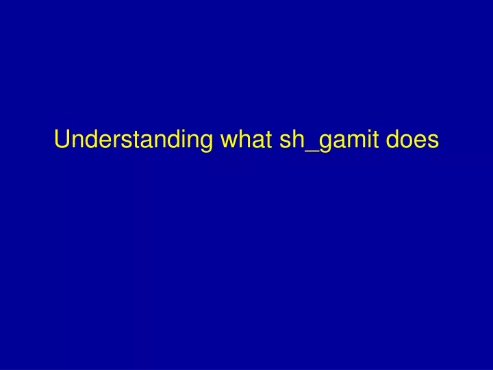 understanding what sh gamit does