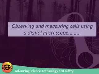 Observing and measuring cells using  a digital microscope.........