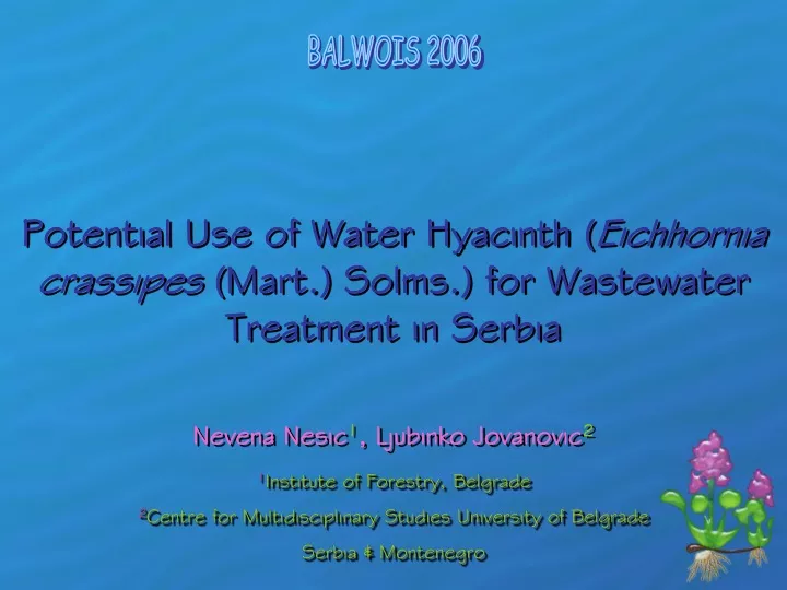 potential use of water hyacinth eichhornia crassipes mart solms for wastewater treatment in serbia