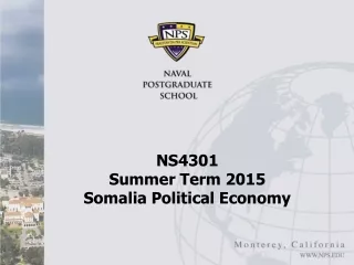 NS4301  Summer Term 2015 Somalia Political Economy