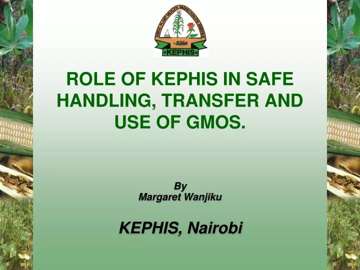 role of kephis in safe handling transfer and use of gmos
