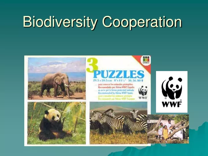 biodiversity cooperation