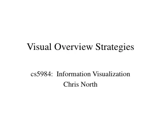 Visual Overview Strategies