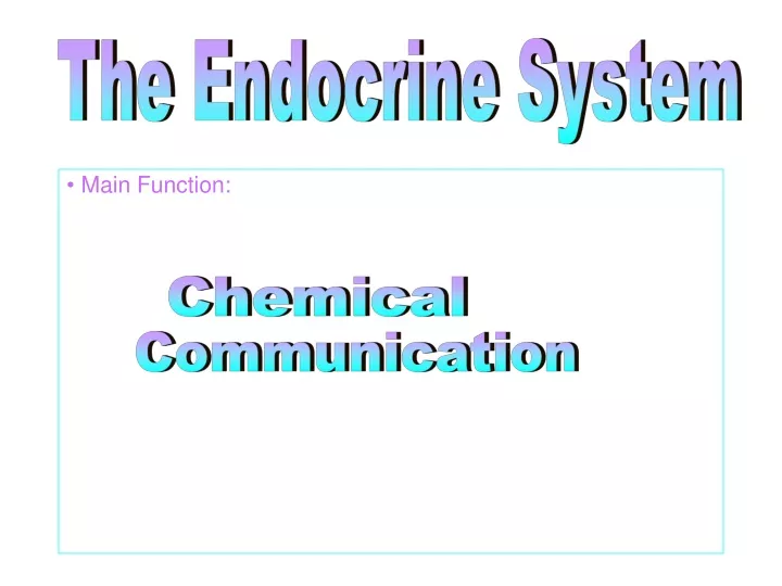 the endocrine system