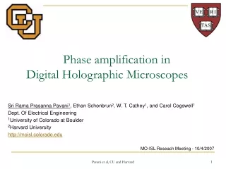 Phase amplification in Digital Holographic Microscopes