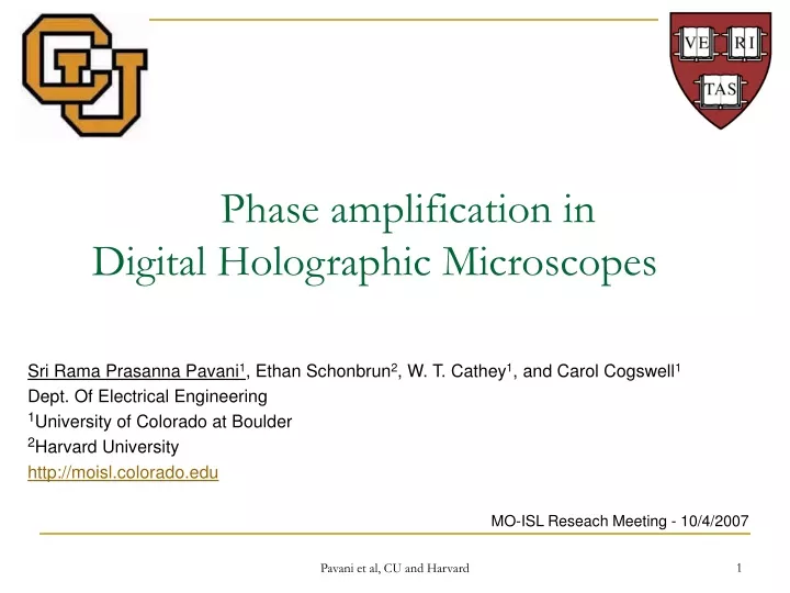 phase amplification in digital holographic