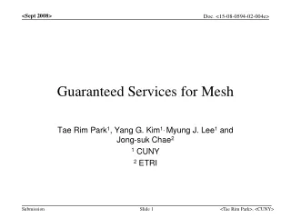 Guaranteed Services for Mesh