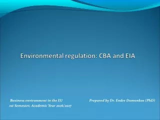 Business environment in the EU		 Prepared  by  Dr.  Endre Domonkos  (PhD)