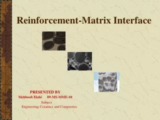 Reinforcement-Matrix Interface