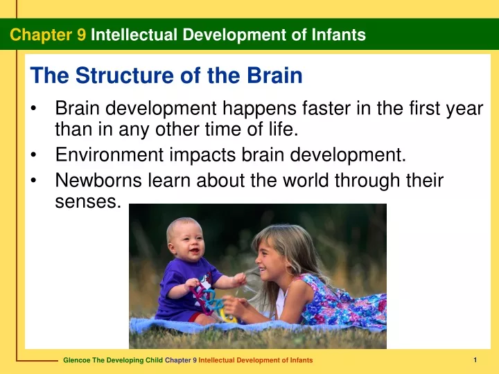 the structure of the brain