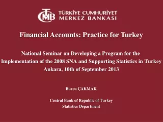 Financial  Accounts :  Practice for Turkey National Seminar  on  Developing  a Program  for the