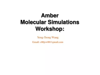 Amber  Molecular Simulations  Workshop:
