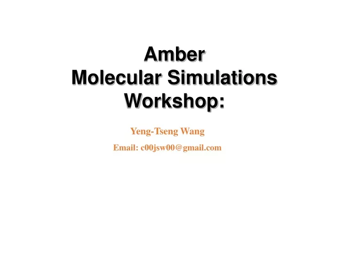 amber molecular simulations workshop