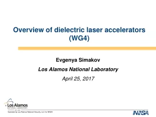 Overview of dielectric laser accelerators (WG4)