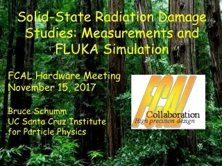 Solid-State Radiation Damage Studies: Measurements and FLUKA Simulation FCAL Hardware Meeting