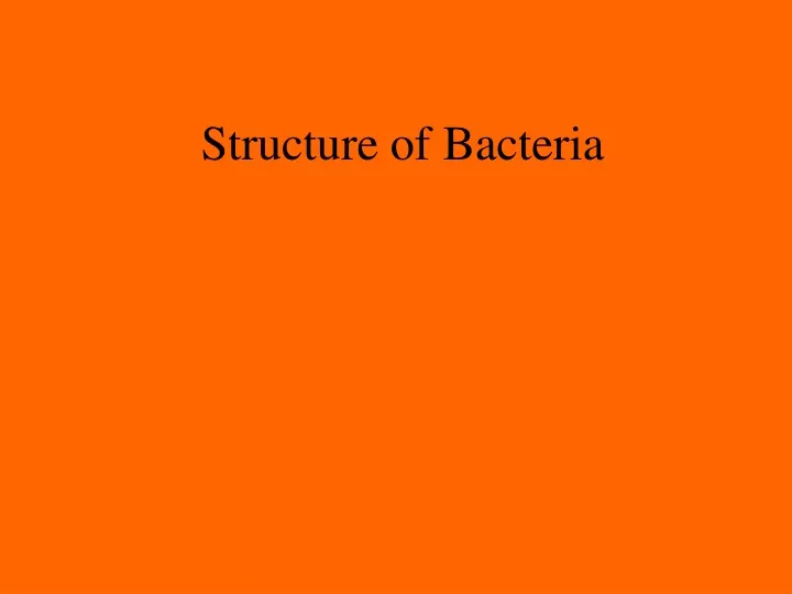 structure of bacteria