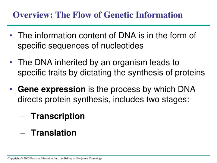 overview the flow of genetic information