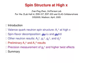 Spin Structure at High x