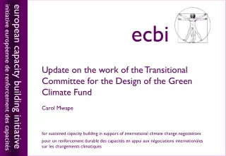 Update on the work of the Transitional Committee for the Design of the Green Climate Fund