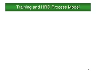 Training and HRD Process Model