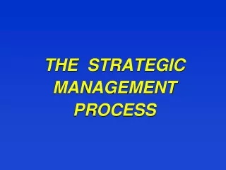 THE  STRATEGIC MANAGEMENT PROCESS