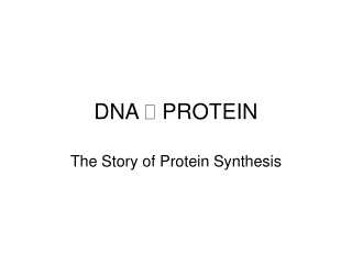 DNA   PROTEIN