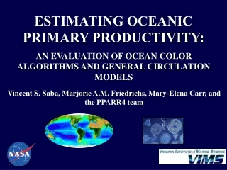 ESTIMATING OCEANIC PRIMARY PRODUCTIVITY: