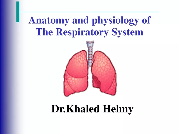 anatomy and physiology of the respiratory system