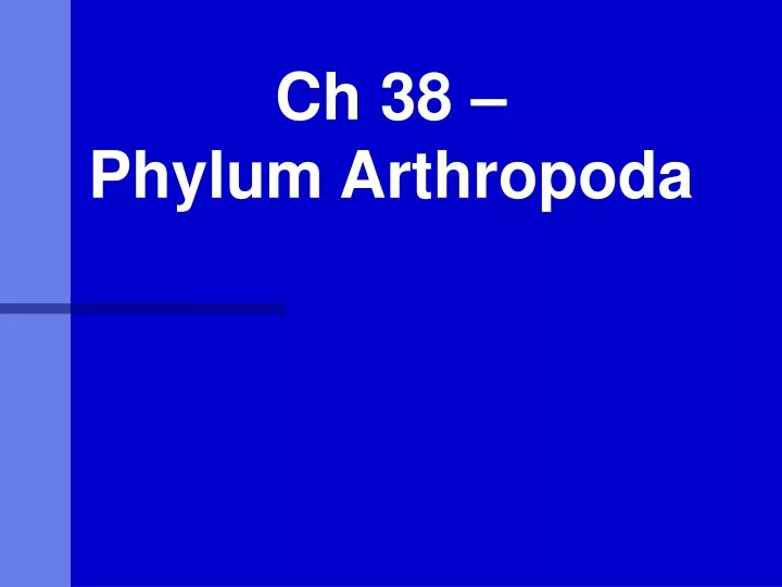 ch 38 phylum arthropoda