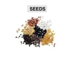 Understanding Seed Structure and Germination Process in Plants - slide 1