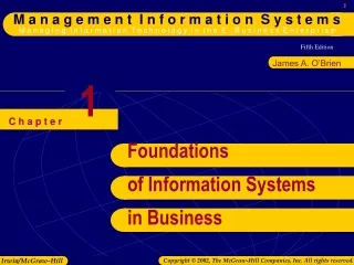 Foundations  of Information Systems in Business