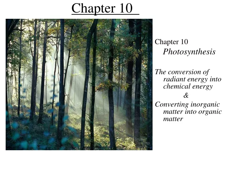 chapter 10