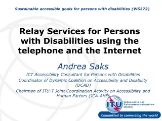 Sustainable accessible goals for persons with disabilities (WS272)