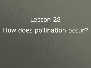 Lesson 28 How does pollination occur?