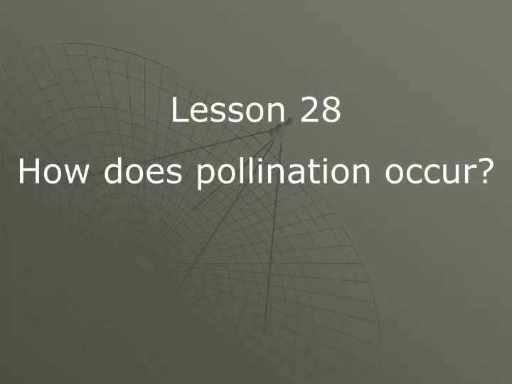 lesson 28 how does pollination occur
