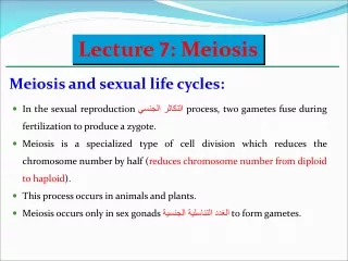 Lecture  7 : Meiosis