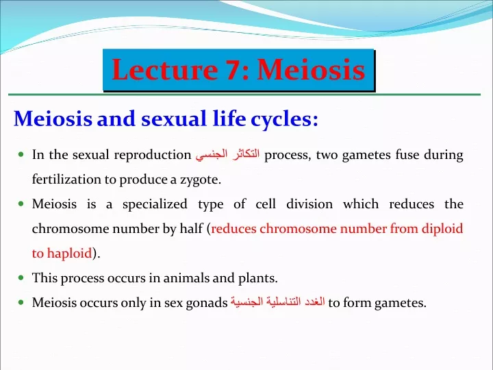 lecture 7 meiosis