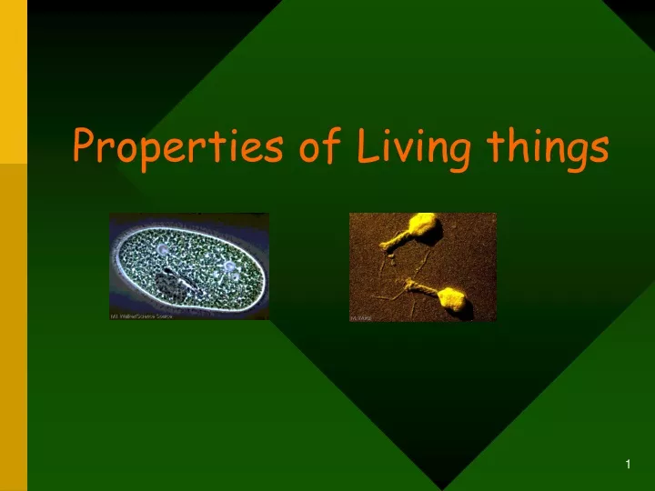 properties of living things