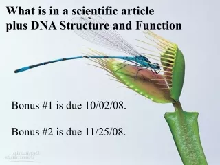 What is in a scientific article plus DNA Structure and Function