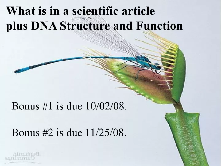 what is in a scientific article plus